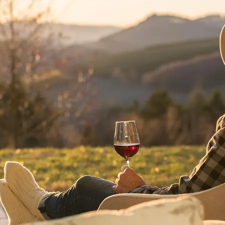 Ferienhaeuser Hoher Knochen Mit Sauna