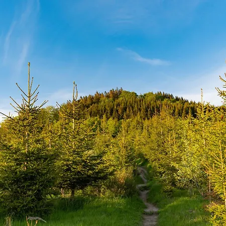 Ferienhaeuser Hoher Knochen Mit Sauna Feriehus Winterberg