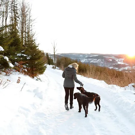 Ferienhaeuser Hoher Knochen Mit Sauna * Winterberg
