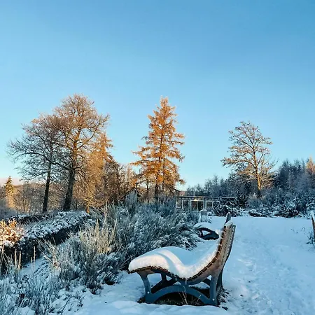 Дом отдыха Ferienhaeuser Hoher Knochen Mit Sauna Шмалленберг