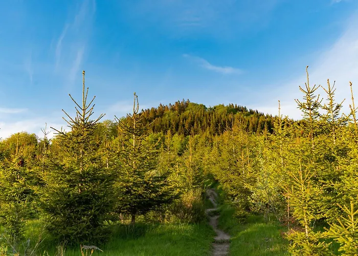 Ferienhaeuser Hoher Knochen Mit Sauna 別荘 ヴィンターベルク