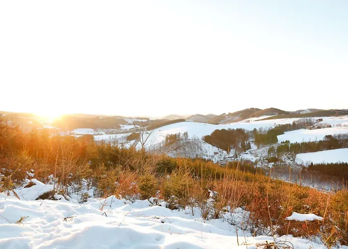 別荘 Ferienhaeuser Hoher Knochen Mit Sauna