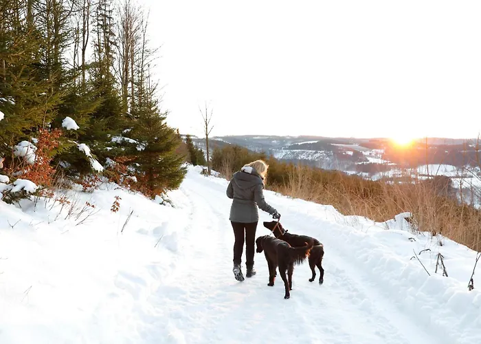 Ferienhaeuser Hoher Knochen Mit Sauna * ヴィンターベルク