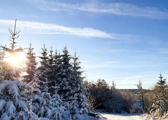 別荘 Ferienhaeuser Hoher Knochen Mit Sauna